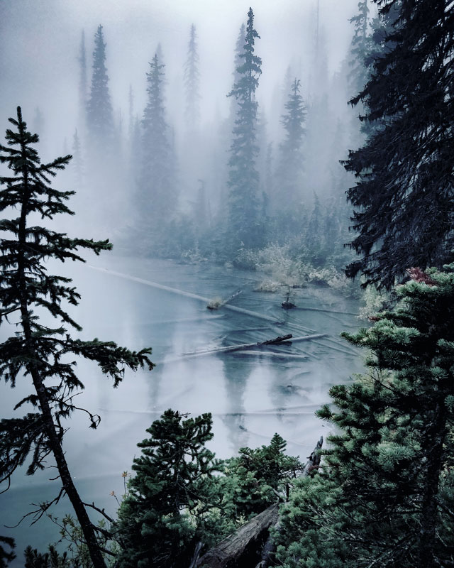 Brume sur le Lac Joffre, Canada