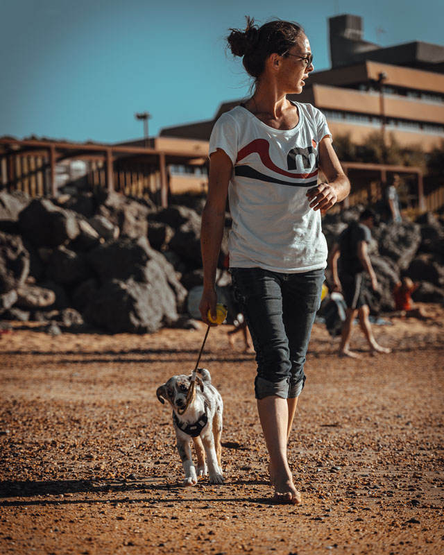 Wally jouant sur la plage